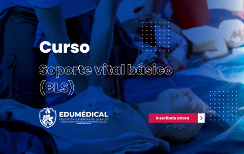 Soporte vital basico (BLS)