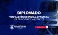Nueva plantilla Nuevos Diplomados-06