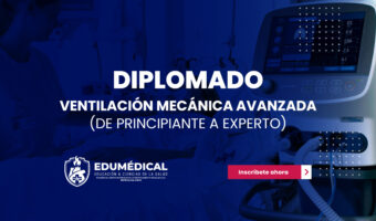 Nueva plantilla Nuevos Diplomados-06