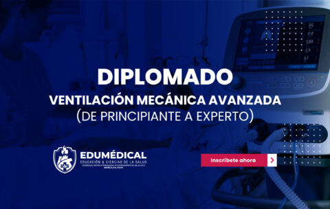 Nueva plantilla Nuevos Diplomados-06
