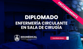 Nueva plantilla Nuevos Diplomados_Mesa de trabajo 1 copia 33