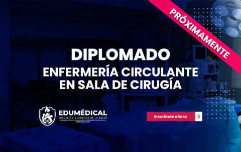 Nueva plantilla Nuevos Diplomados_Mesa de trabajo 1 copia 33